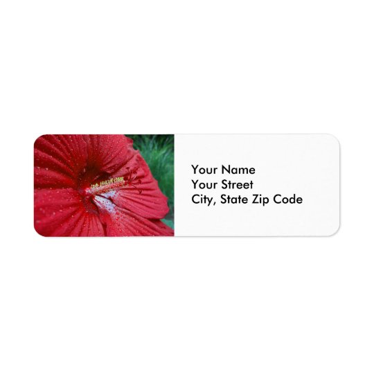 Red Hibiscus With Raindrops return address label
