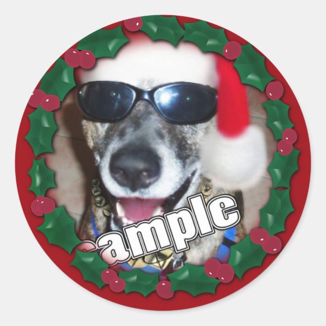 Red Holly Frame for your Christmas Photo! Classic Round Sticker (Front)