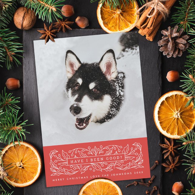 Red Holly Leaves Pet Photo Holiday Card (Creator Uploaded)
