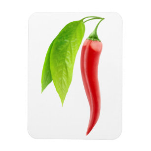 Red hot chili pepper magnet
