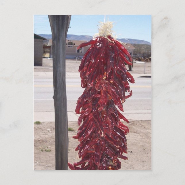 red hot chili peppers in Hatch New Mexico Postcard (Front)