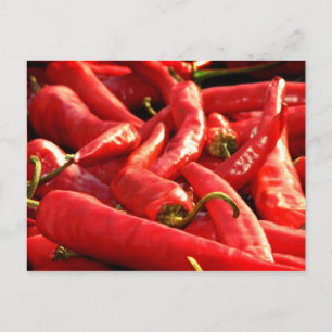 Red hot Chili Postcard