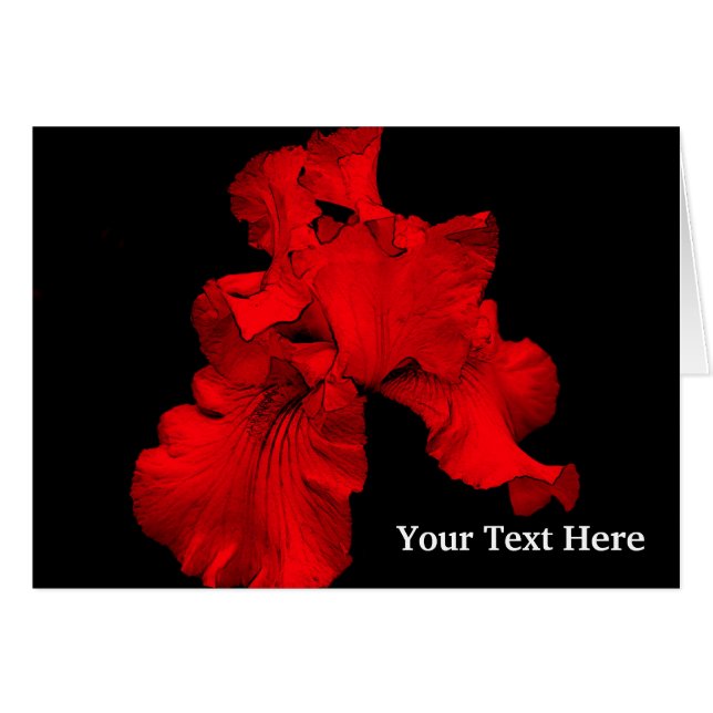 Red Hot Daffodil Floral Photo Card (Front Horizontal)