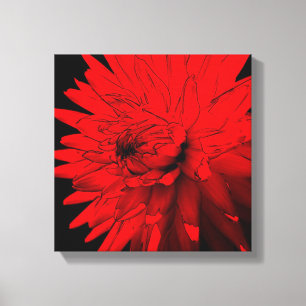Red Hot Dahlia Flower Abstract Art Canvas Print