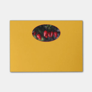 Red Hot Garden Salsa Chili Peppers. Post-it Notes
