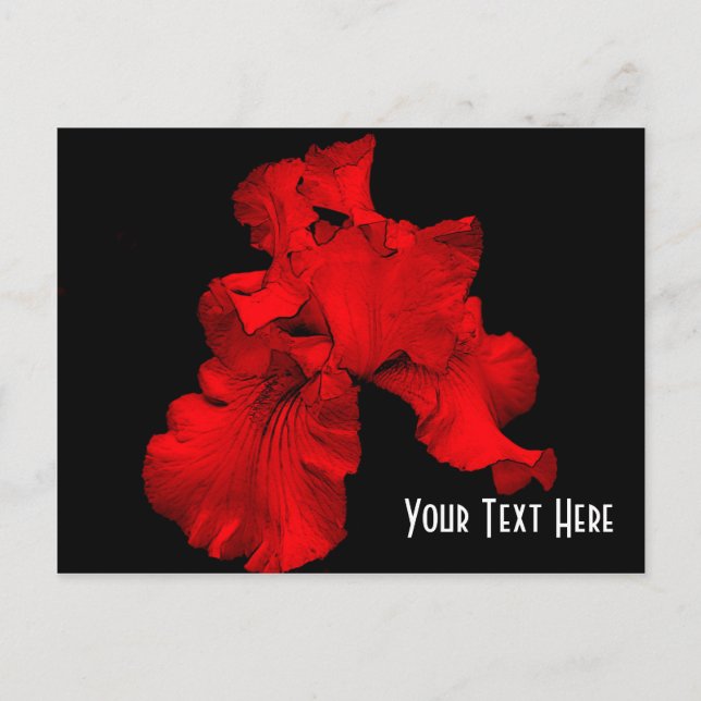 Red Hot Iris Floral Customizable Postcard (Front)