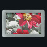 red hot pink daisy / daisies flowers belt buckle<br><div class="desc">red hot pink daisy / daisies flowers</div>