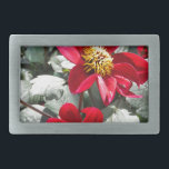 red hot pink daisy / daisies flowers belt buckle<br><div class="desc">red hot pink daisy / daisies flowers</div>