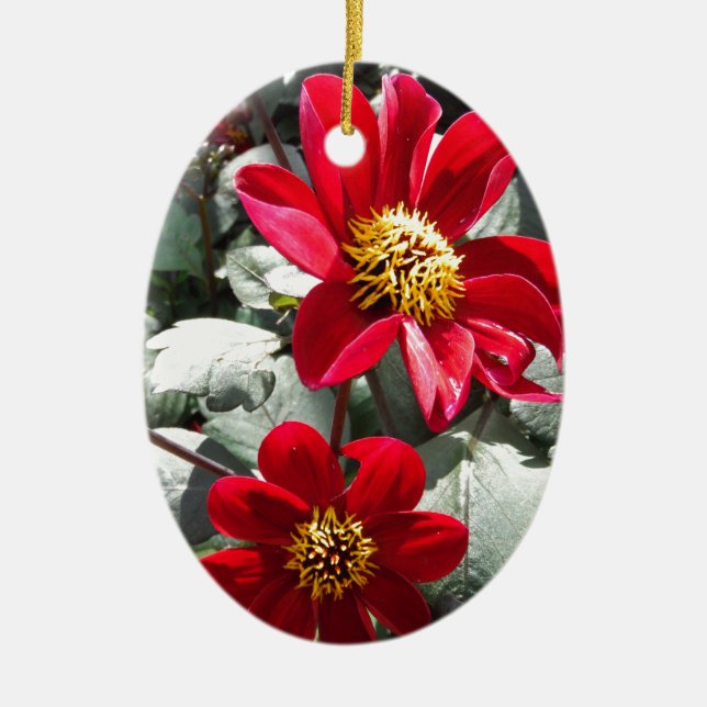 red hot pink daisy / daisies flowers ceramic ornament (Front)