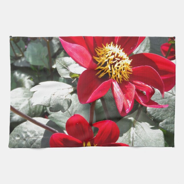 red hot pink daisy / daisies flowers kitchen towel (Horizontal)