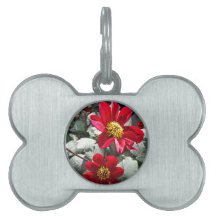 red hot pink daisy / daisies flowers pet ID tag