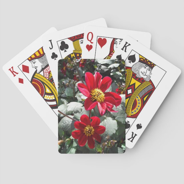 red hot pink daisy / daisies flowers playing cards (Back)