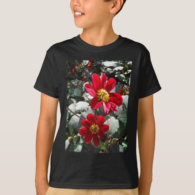 red hot pink daisy / daisies flowers T-Shirt (Front)
