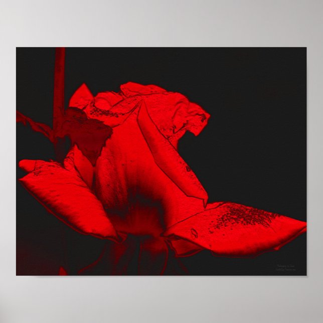 Red Hot Rosebud Abstract Flower Art Poster (Front)