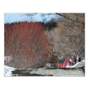 Red House On the Lane Photo Print