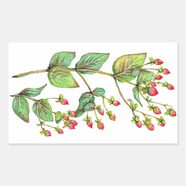 Red Hypericum Berry Sticker (Front)