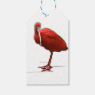 Red Ibis give this to the bird lover in your life Gift Tags