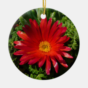 Red Ice Flower Colourful Carpet Plant Ceramic Ornament