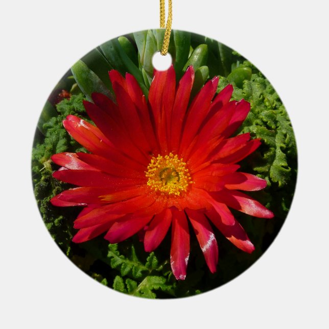 Red Ice Flower Colourful Carpet Plant Ceramic Ornament (Front)