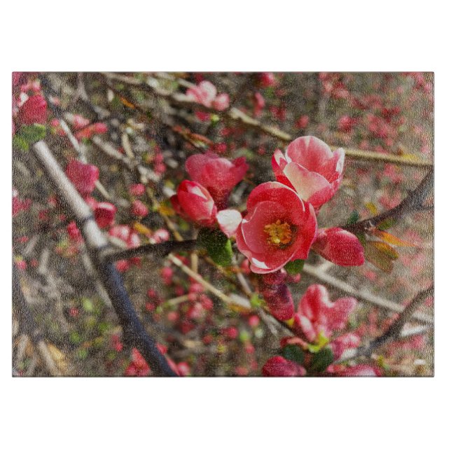 red in spring cutting board (Front)