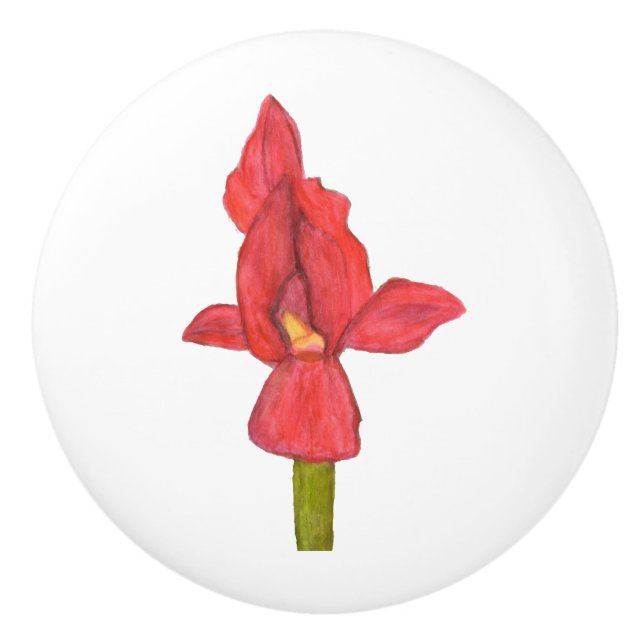 Red Iris Drawer Pull (Front)