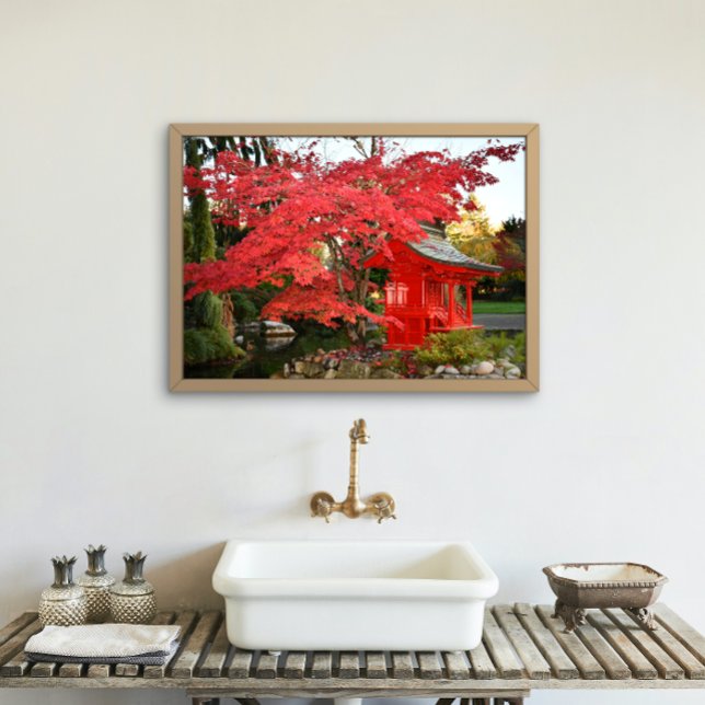 Red Japanese Maple and Garden Shrine Photo Print (In Situ Framed)