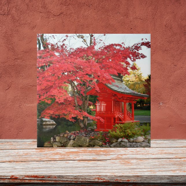 Red Japanese Maple and Garden Shrine Tile (In Situ)