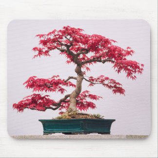 Red Japanese Maple Bonsai Tree Mouse Pad