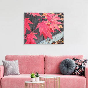 Red Japanese Maple Leaves Botanical Canvas Print