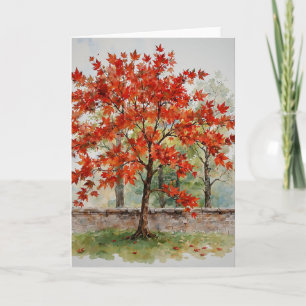 Red Japanese Maple Study C Card