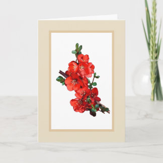 Red Japanese Quince Blossom illustration beige Card