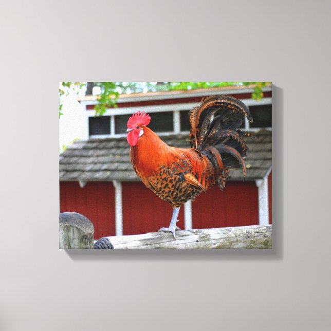 Red Junglefowl Rooster On A Fence Canvas Print (Front)