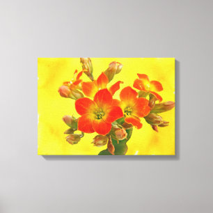 Red Kalanchoe - Succulent Sunshine Canvas Print