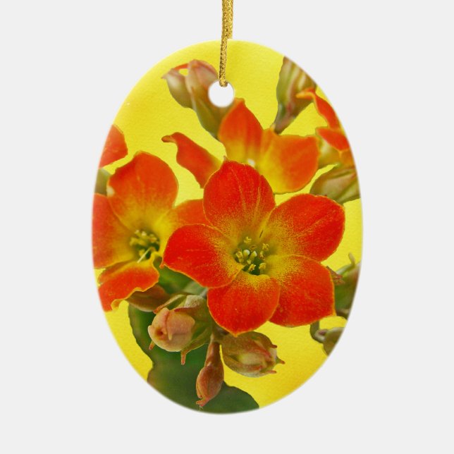 Red Kalanchoe - Succulent Sunshine Ceramic Ornament (Front)