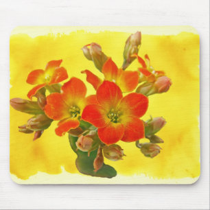 Red Kalanchoe - Succulent Sunshine Mouse Pad
