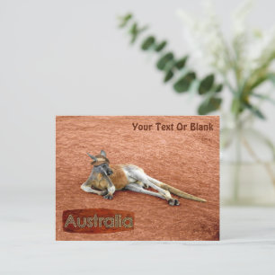 Red Kangaroo In Slouch Hat Postcard