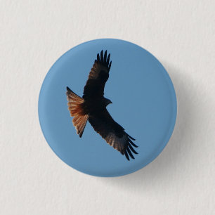 Red Kite Badge 1 Inch Round Button