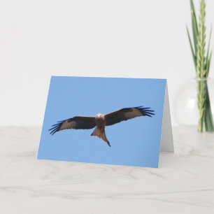 Red Kite Card