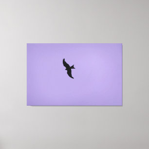 Red Kite In Flight Canvas Print