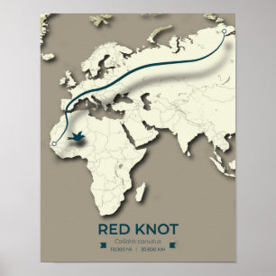 Red Knot Migration Map – Minimalist Vintage Bird Poster