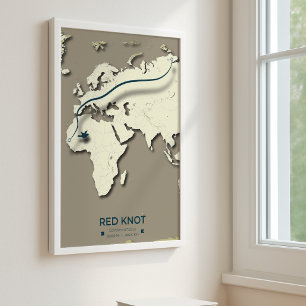 Red Knot Migration Map – Minimalist Vintage Bird Poster