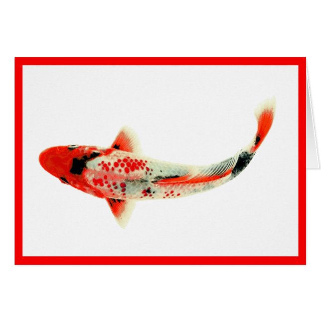 Red Koi (Front Horizontal)
