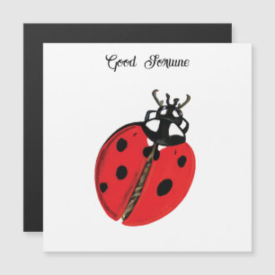 Red Lady Bug Good Luck Ambassador Illustration 