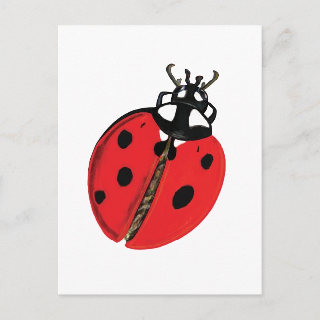 Red Lady Bug Good Luck Ambassador Illustration Postcard (Front)
