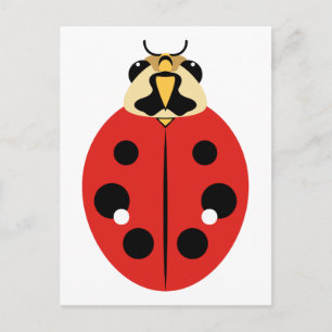 Red Ladybug Beetle Postcard