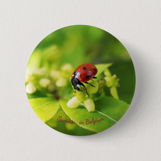 Red Ladybug summer 2 Inch Round Button (Front)