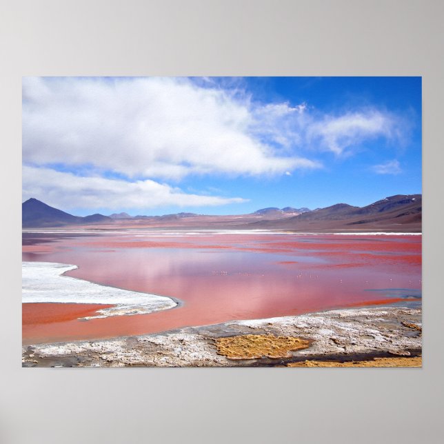 Red Lagoon, Laguna Colorada en Bolivie poster (Devant)