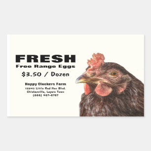 Red Laying Hen Chicken Photo Sticker