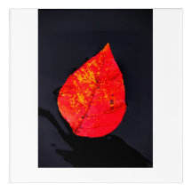 Red leaf