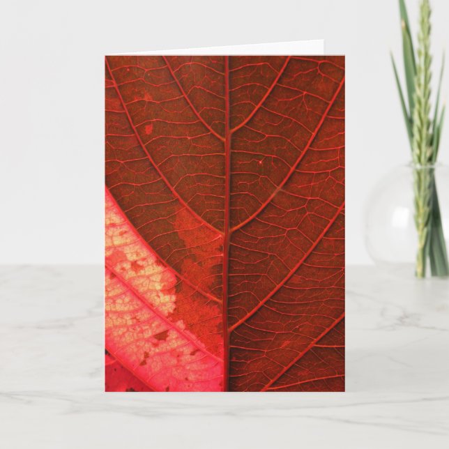 Red Leaf Holiday Card (Front)
